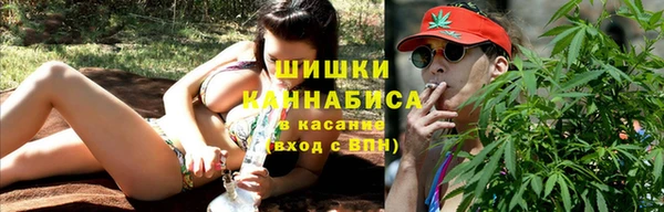 ПСИЛОЦИБИНОВЫЕ ГРИБЫ Лихославль