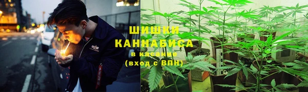 ПСИЛОЦИБИНОВЫЕ ГРИБЫ Лихославль