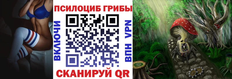 Купить закладки  Шадринск  Галлюциногенные грибы GOLDEN TEACHER 